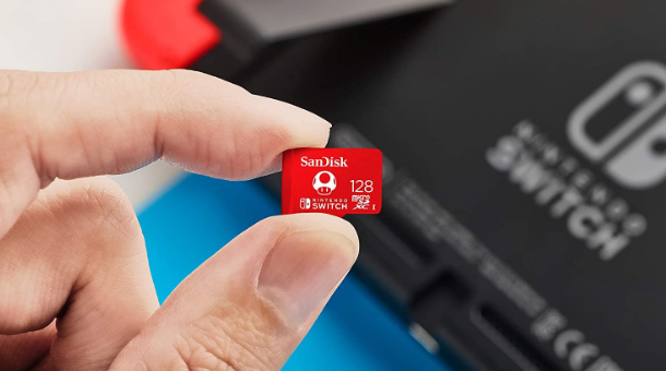 Nintendo Switch micro SD card